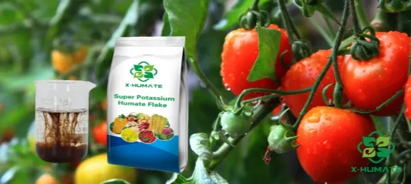 potassium humate uses